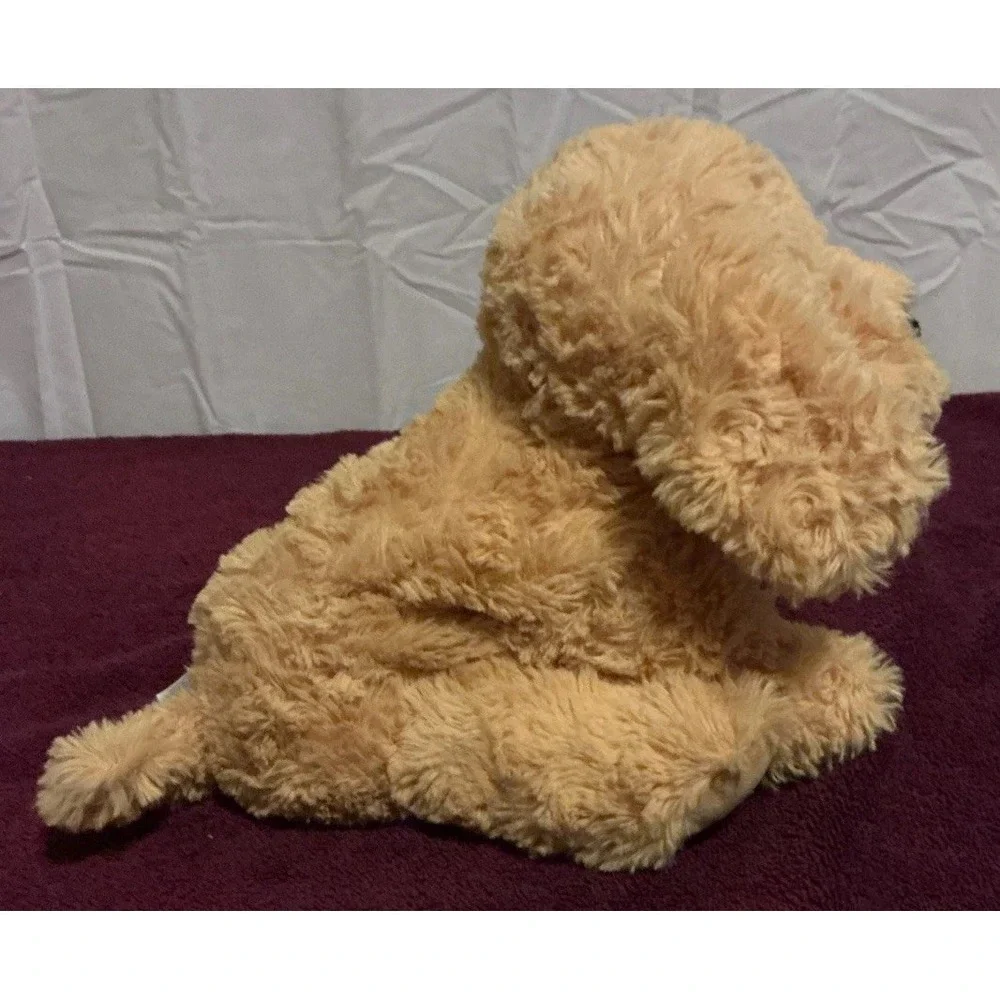 Warmies sitting golden
